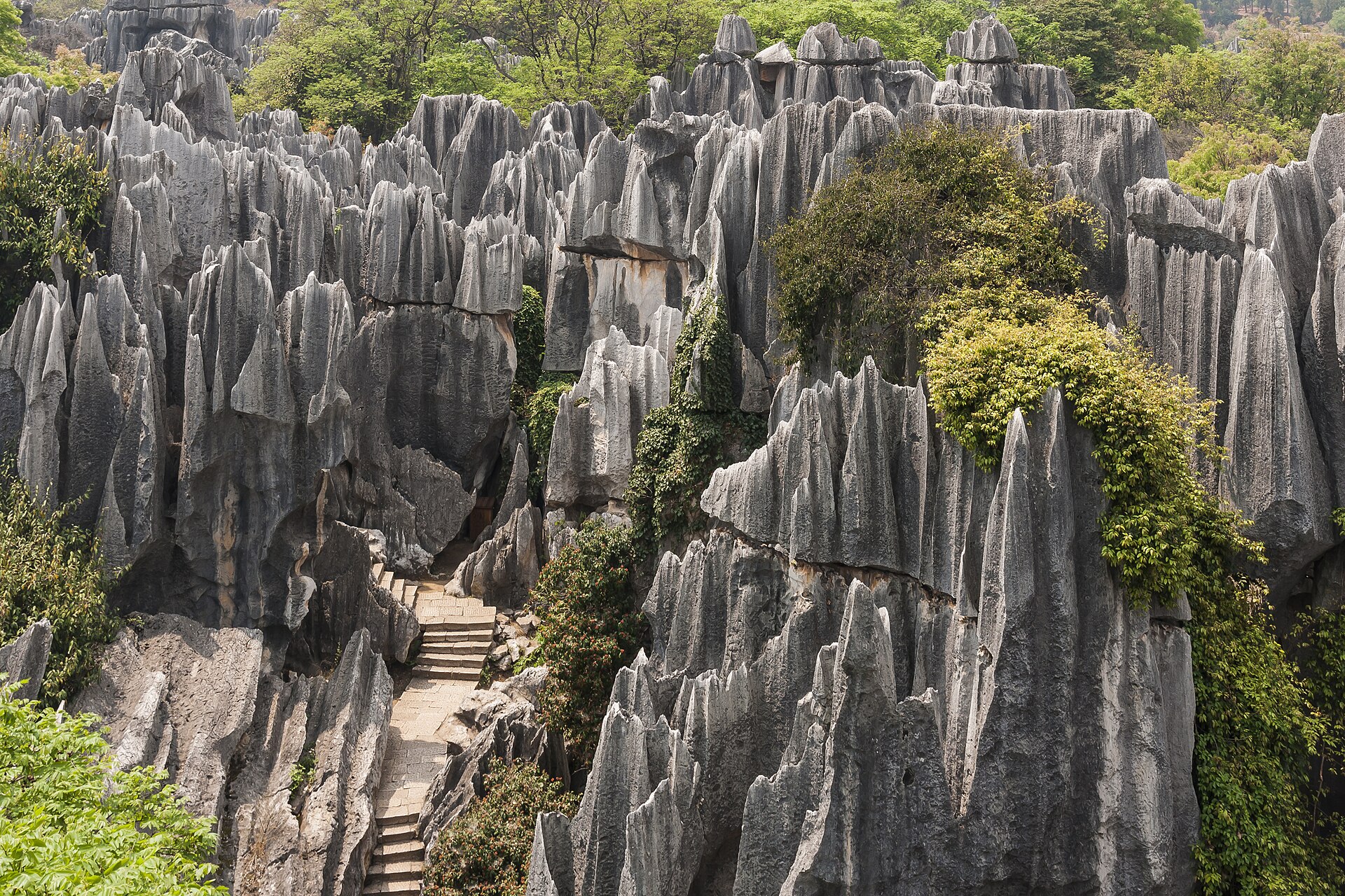 云南石林实景